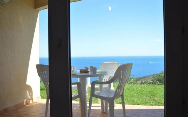 Appartement Banyuls-sur-Mer, 2 pièces, 4 personnes - FR-1-225C-488