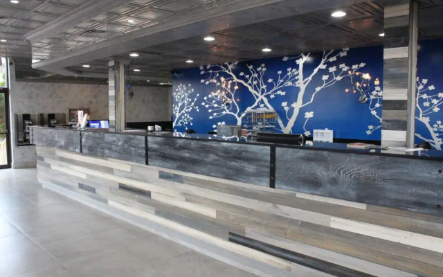 Celebration Suites