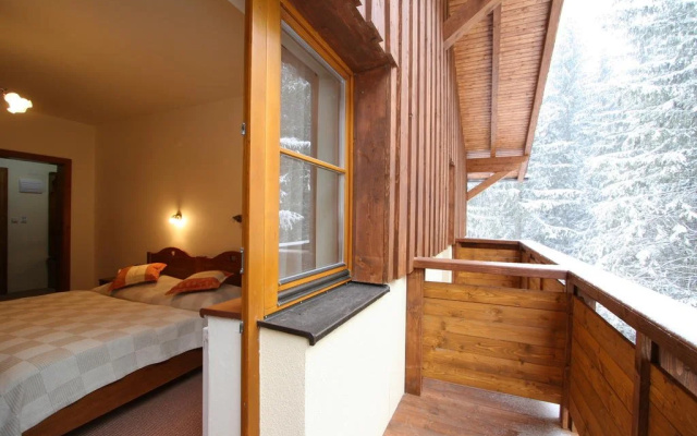 Ski & Wellness Residence Družba