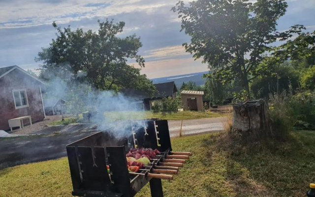 Utsikt mot viken