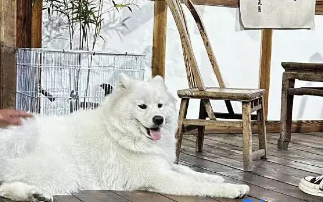 Qingcheng Mountain Wuwei Homestay