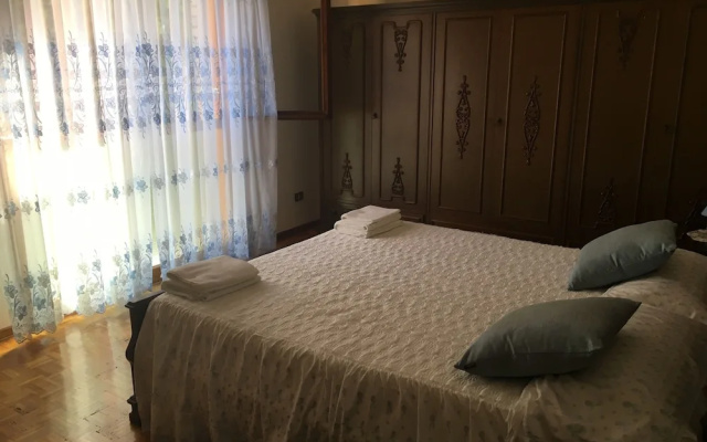 B&B Clipai