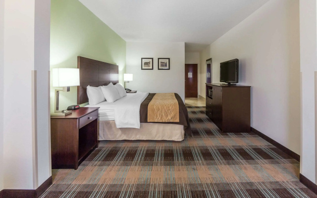 Comfort Inn Lexington South