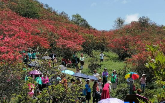 Rongshui Gulou Farm Hotel
