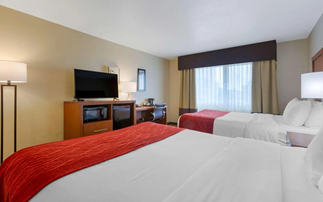 Comfort Inn South