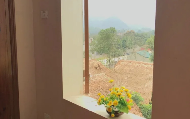 Ninh Binh bamboo