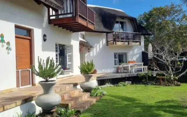 Tree Aloe Guest house