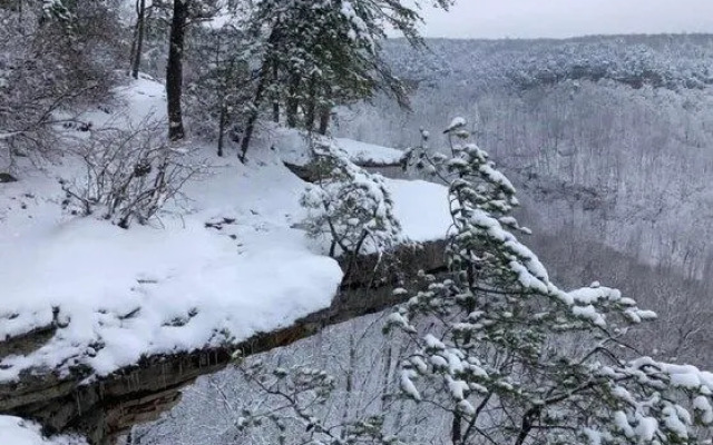 Greeter Falls Lodge Unit 3