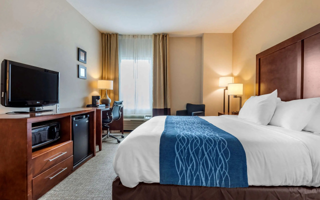 Comfort Inn Apalachin / Binghamton W Route 17