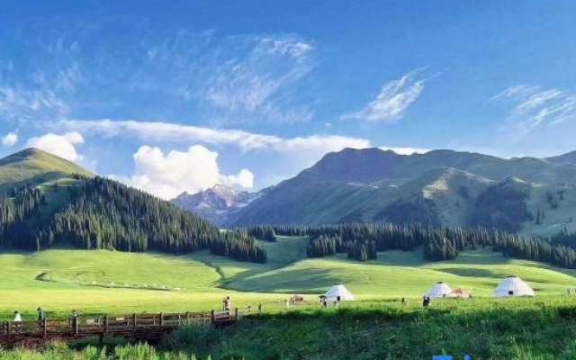 Nalati Primitive Senling Resort B&B