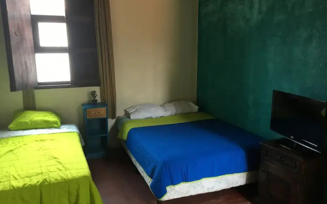 Greenhouse Hostel