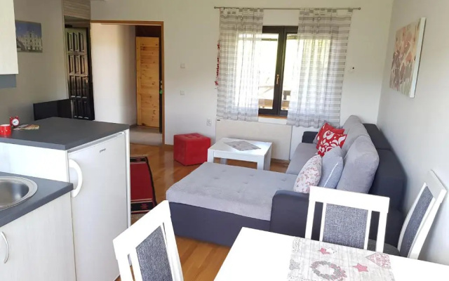 Apartments Hill House Zlatibor