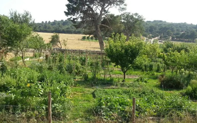 Domaine de Sulauze