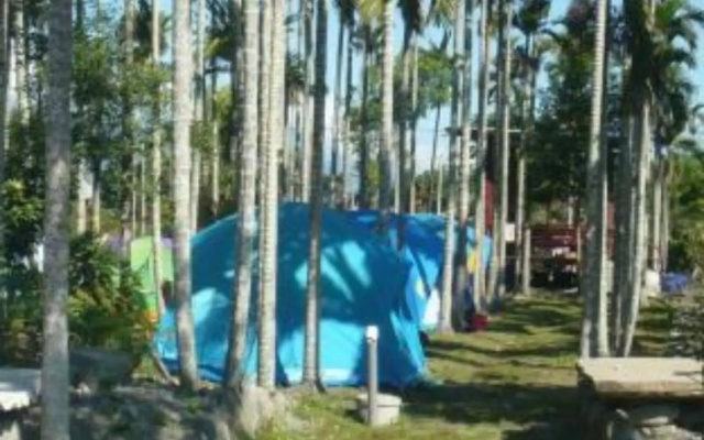 Bincity B & B