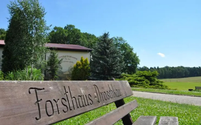 Waldhotel Forsthaus Dröschkau