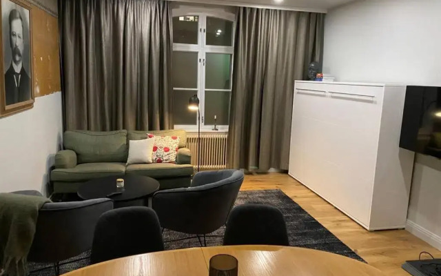 Luxury Apartment in the center