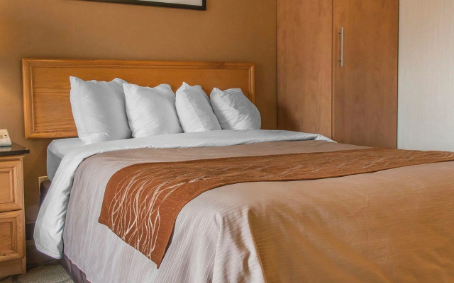 Comfort Inn Dryden