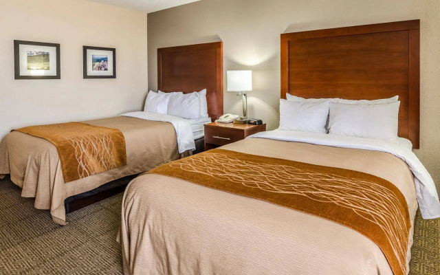 Comfort Inn Blacksburg University Area