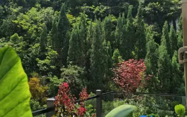 Songya Mountain Homestay