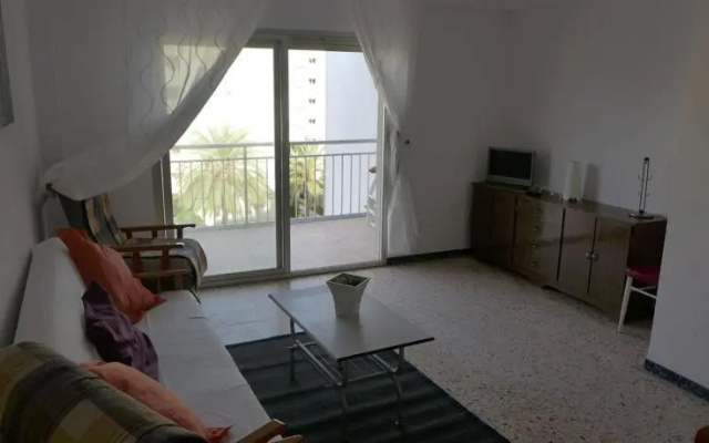 Campos 2