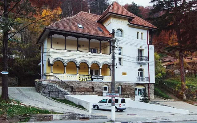 Vila Furnica