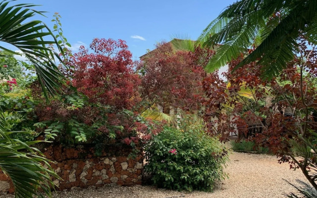 Tropicana Garden