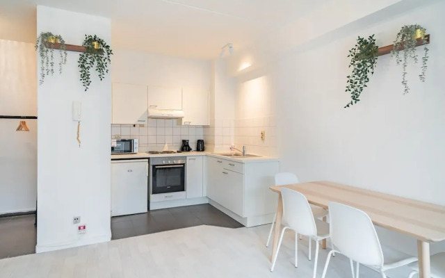 Classic 1 Bedroom Apartment in Antwerp