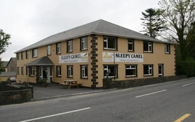 The Sleepy Camel Hostel