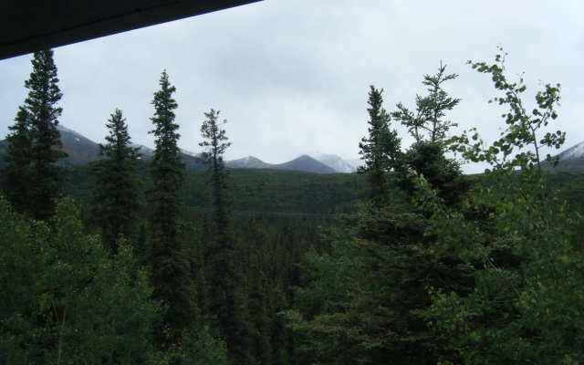 Denali Perch Resort