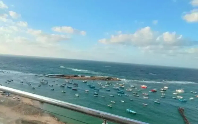 شقه فندقيه