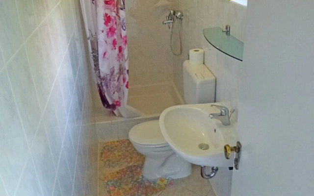 Apartment Ivana