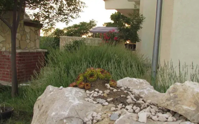 Country House Sinovec