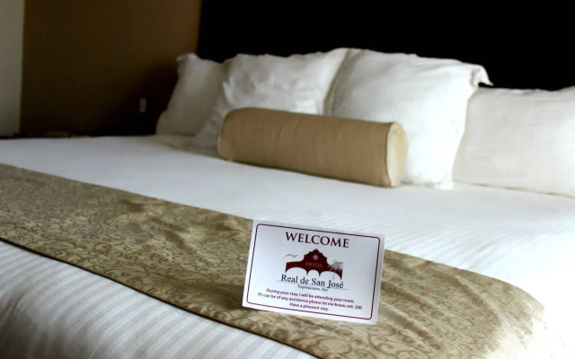 Hotel Real de San Jose
