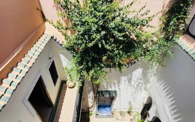 riad msholidays - privatisé jusqu'à 6 personnes - bassin