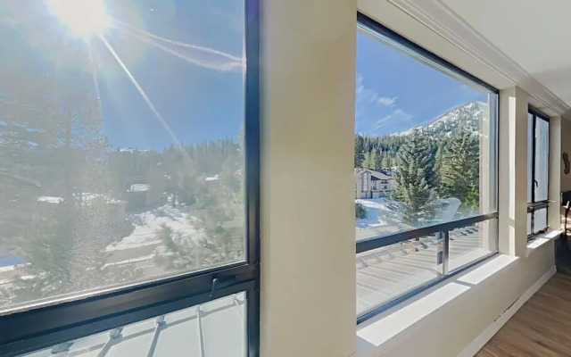 310 3 Bedroom Condo