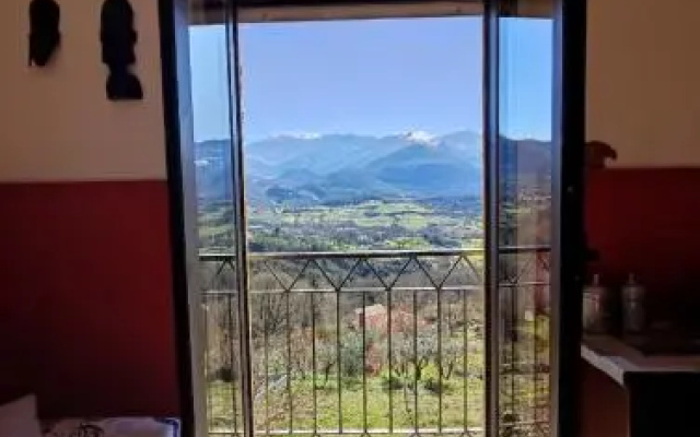 Tana Libera Tutti