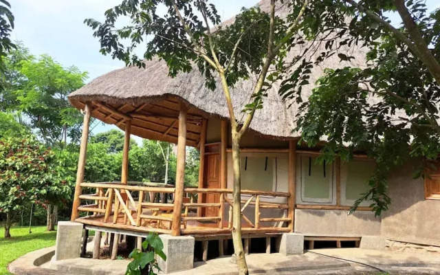 Kibale Canopy Lodge