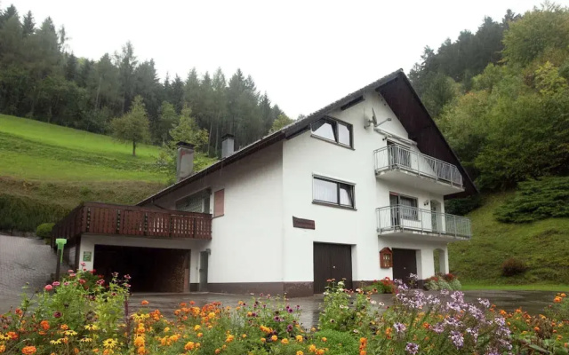 Modern Apartment in Bad Peterstal-griesbach With Vineyards