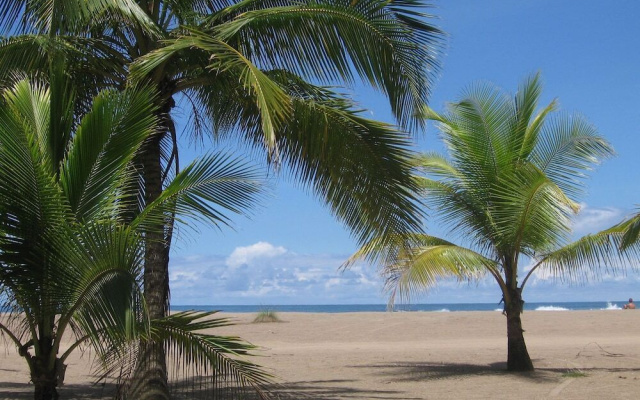 The Palms by Lost Beach Vacations