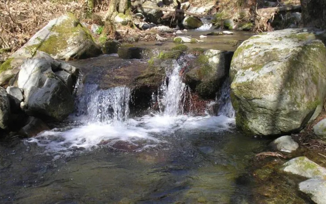 Internaturam