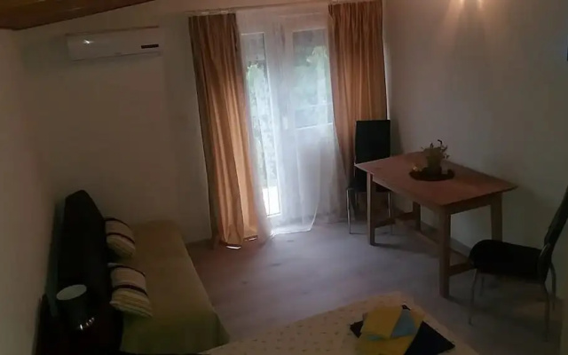 Apartments Carev
