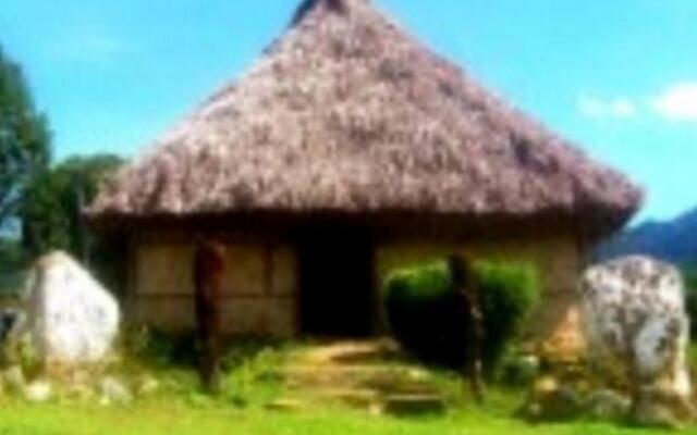 Отель Nalesutale Village Lodges Фиджи, Вити-Леву - отзывы, цены и фото номеров - забронировать отель Nalesutale Village Lodges онлайн