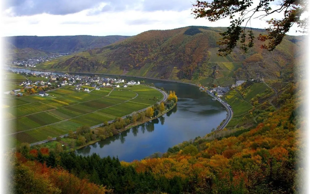 Weingut im Moselkrampen