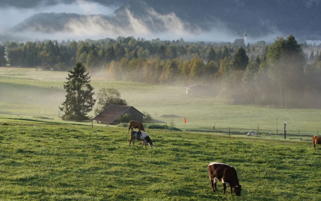Wimmerhof