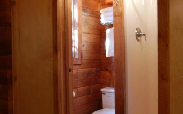 Denali Cabins