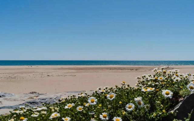 BM 208 - Appartement T2, 4 couchages, NARBONNE-PLAGE