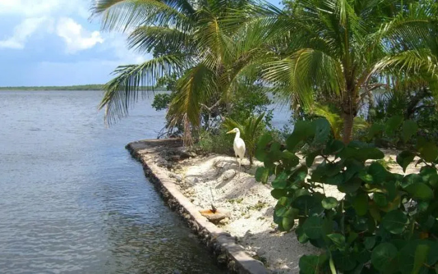 Historic Shadow Point