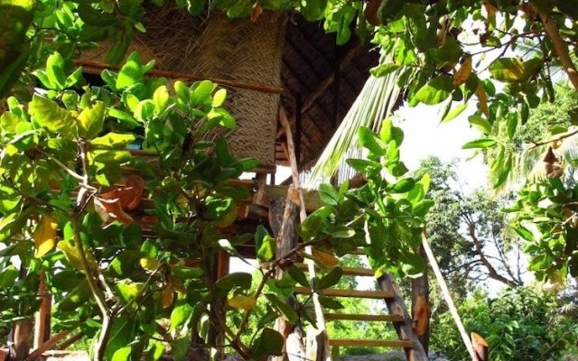 Kitu Kiblu in Mafia Island, Tanzania from 81$, photos, reviews - zenhotels.com