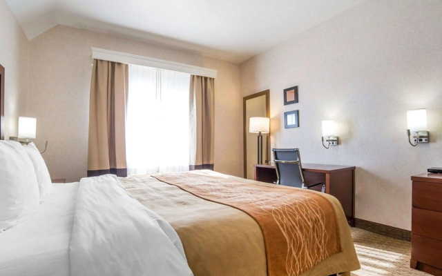 Comfort Inn Elko