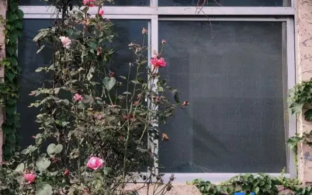 Heming Homestay (Tai'an Branch)